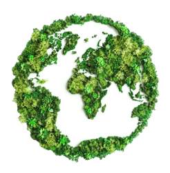 icon-earth-made-from-green-moss-set-against-white-background-removebg-preview